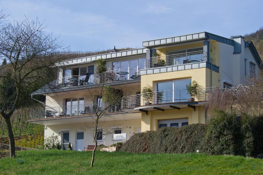 Ferienhaus Panorama Mosel Reil Exterior foto