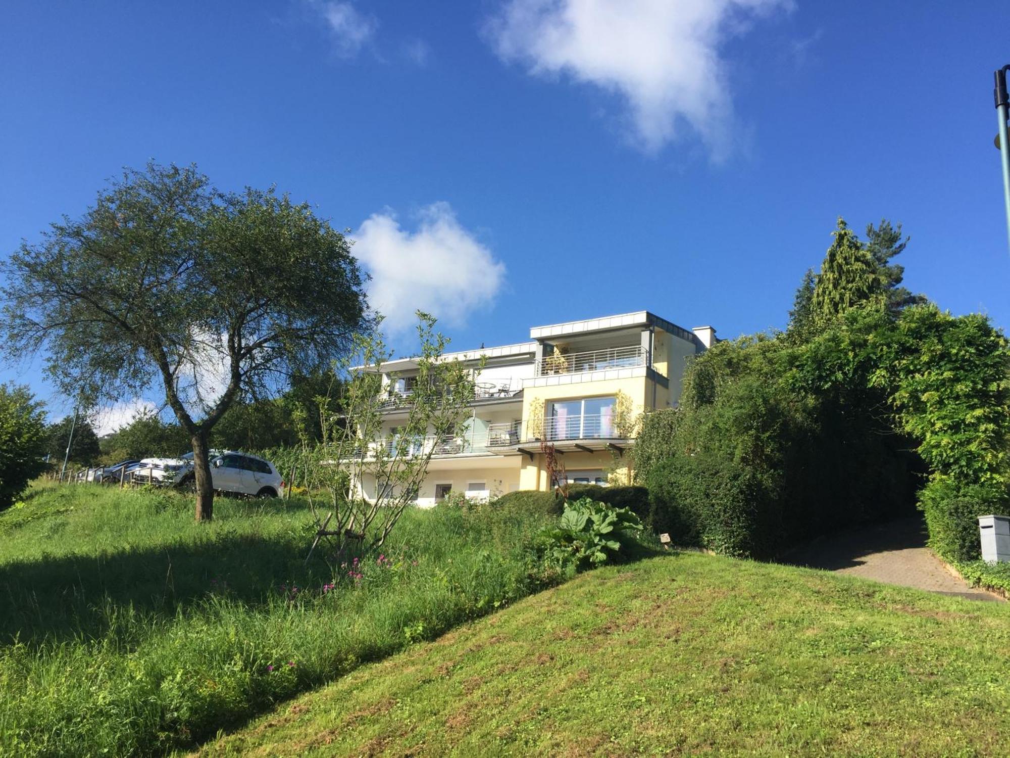 Ferienhaus Panorama Mosel Reil Exterior foto